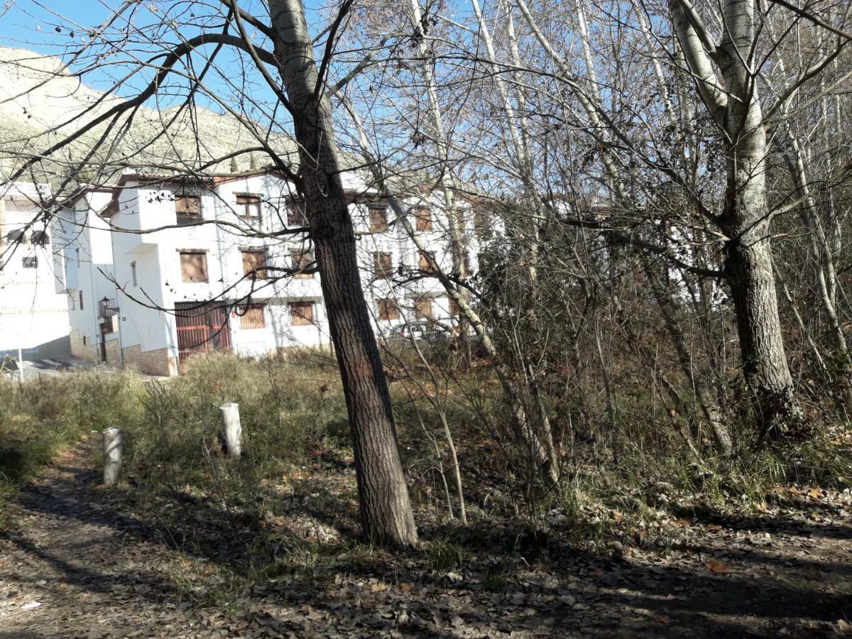Apartament Alborada Pinos Genil Zewnętrze zdjęcie